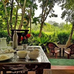 Palace View Homestay Sigiriya
