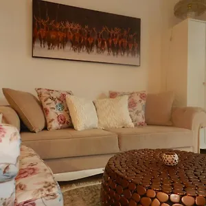 Klassik And Sunny Apartment! Appartamento